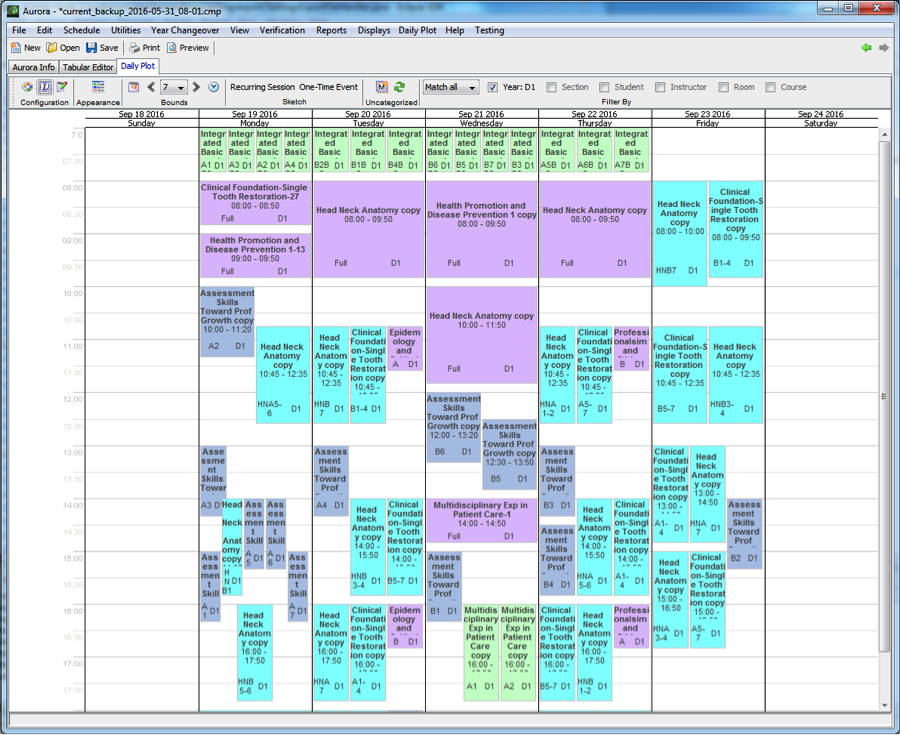 The Daily Plot allows the user to view the events that are occurring in a calendar
